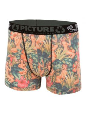 Cale�on Picture Organic Pinup S18