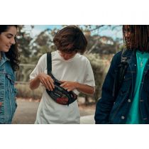 Dakine Classic Hip Pack 