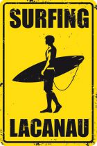 PLAQUE SURFING LACANAU