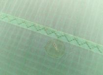 STRIKE V4 5M2 + WISHBONE