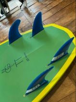Surf NORTH Nuggets