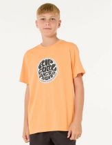 Tee-shirts